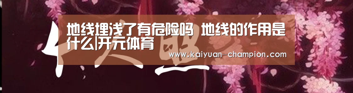 地线埋浅了有危险吗 地线的作用是什么|开元体育(图1) 开元官网