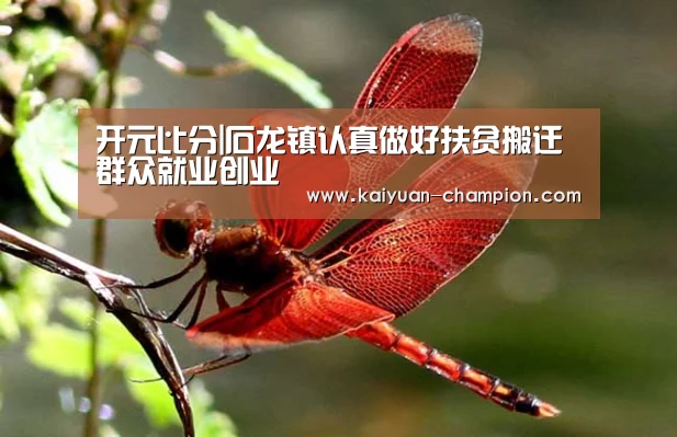 开元比分|石龙镇认真做好扶贫搬迁群众就业创业(图2) 开元比分