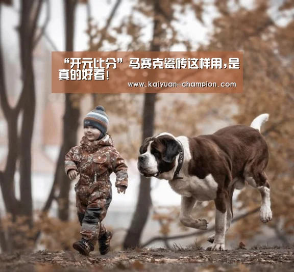 “开元比分”马赛克瓷砖这样用,是真的好看!(图4) 开元官网